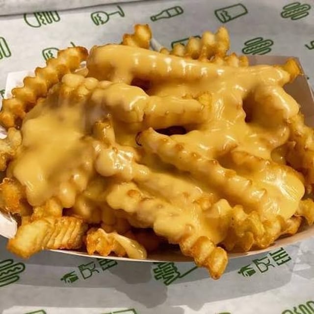 Cheese Only Fries.
